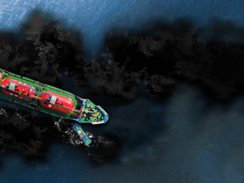 Berapa Banyak Hewan Laut yang Mati Akibat Tumpahan Minyak dalam Sehari